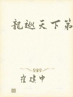 龙巡天下第四部