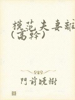 模范夫妻离婚了(高干)