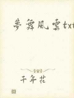 梦舞风云txt