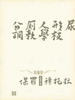 公厕人形尿便器调教学校