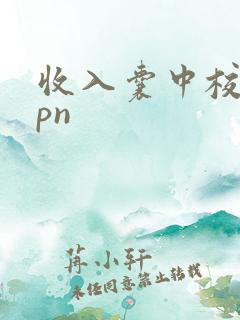 收入囊中校园hpn