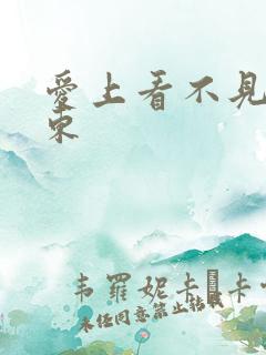 爱上看不见的房东