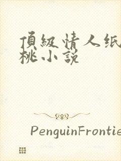 顶级情人纸皮核桃小说
