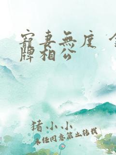 宠妻无度  金牌相公