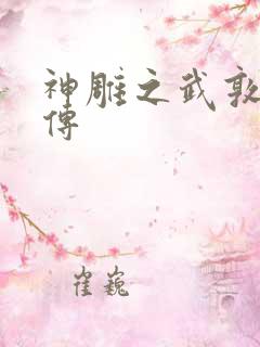 神雕之武敦儒大传