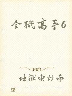 全职高手6
