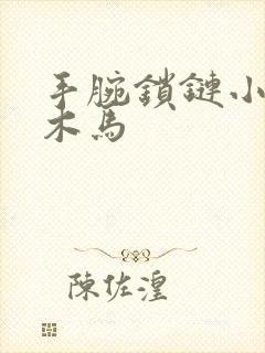 手腕锁链小黑屋木马