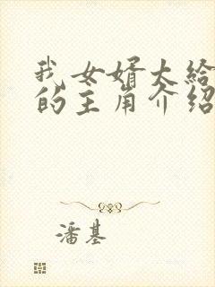 我女婿太给力了的主角介绍