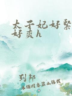 太子妃好紧皇上好爽h