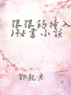 狠狠的撞入(h)秘书小说