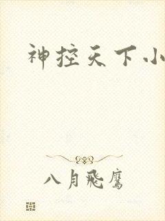 神控天下小说