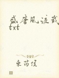 盛唐风流武状元txt