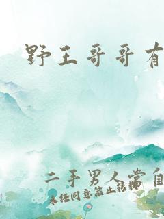 野王哥哥有点甜