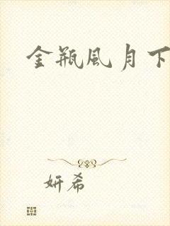 金瓶风月下载