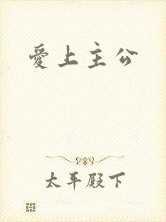 爱上主公