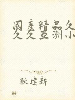 国产精品久久久久久亚洲小说