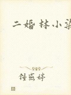 二婚 林小染