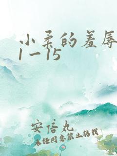 小柔的羞辱日记1一15