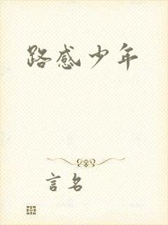 路感少年