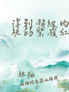 得到超级肉禽系统的紫岭红山