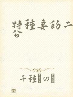 特种妻的二手老公