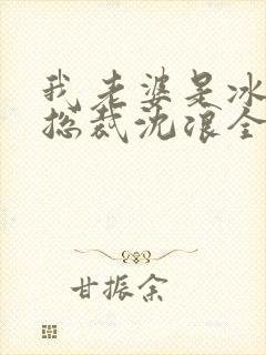 我老婆是冰山女总裁沈浪全集