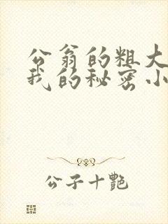 公翁的粗大放进我的秘密小说