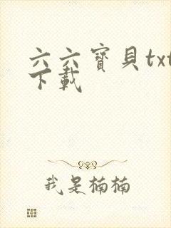 六六宝贝txt下载
