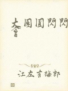 大团圆闪闪相亲会