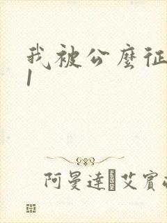 我被公么征服了1