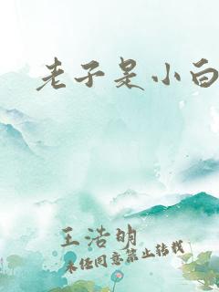 老子是小白脸