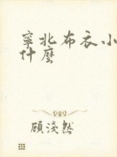 宁北布衣小说叫什么