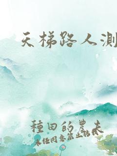 天梯路人测试器