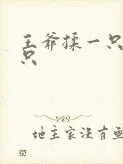 王爷揉一只舔一只