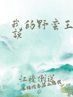 我的野蛮王妃小说