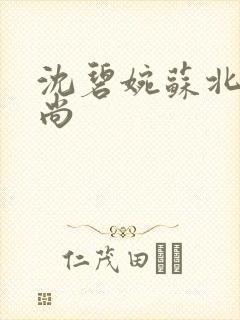 沈碧婉苏北宸和尚