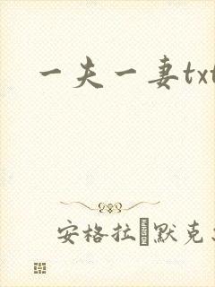 一夫一妻txt