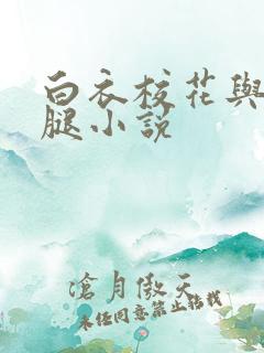 白衣校花与大长腿小说