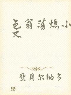 色翁荡熄小说全文