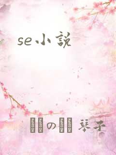 se小说