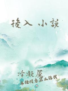 后入 小说