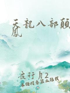 天龙八部颠龙鸾凤