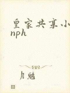 皇家共享小公主nph