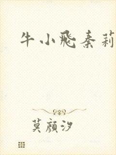 牛小飞秦莉莉