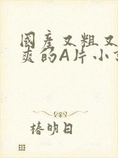 国产又粗又黄又爽的A片小说