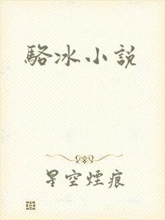 骆冰小说