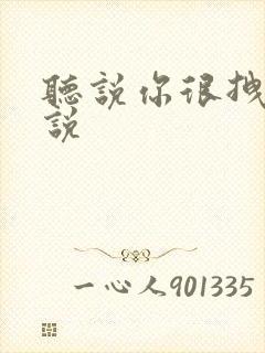 听说你很拽啊小说