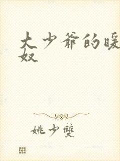 大少爷的暖床小奴