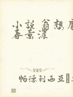 小说 翁想房中春意浓