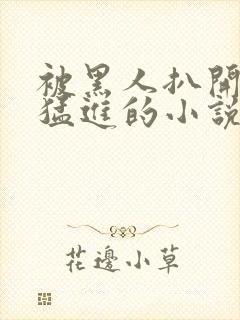 被黑人扒开双腿猛进的小说